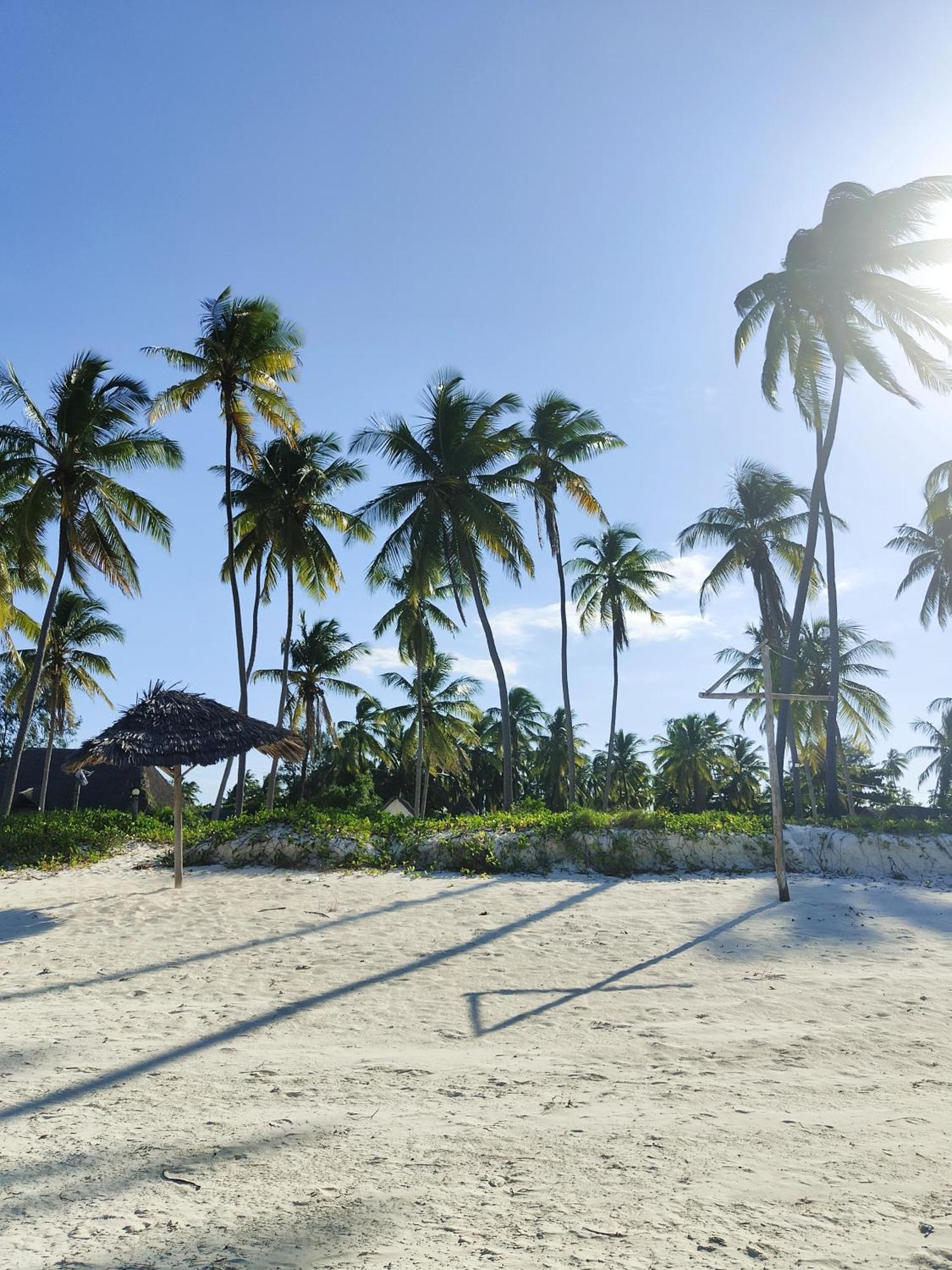 Tropical In The Soul 400m From - Managed By Ksn Apartament *