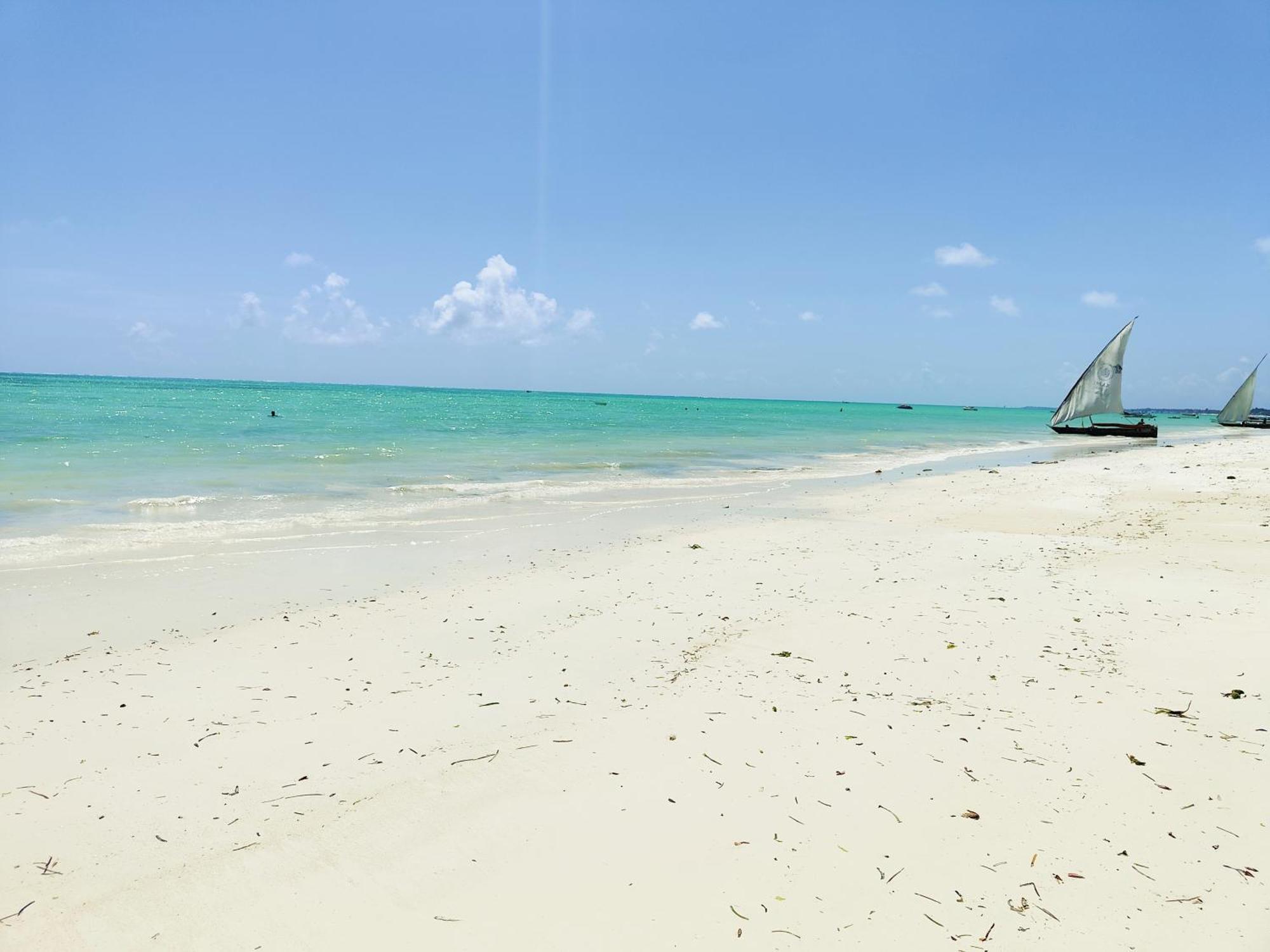 Tropical In The Soul 400m From - Managed By Ksn Apartament Paje