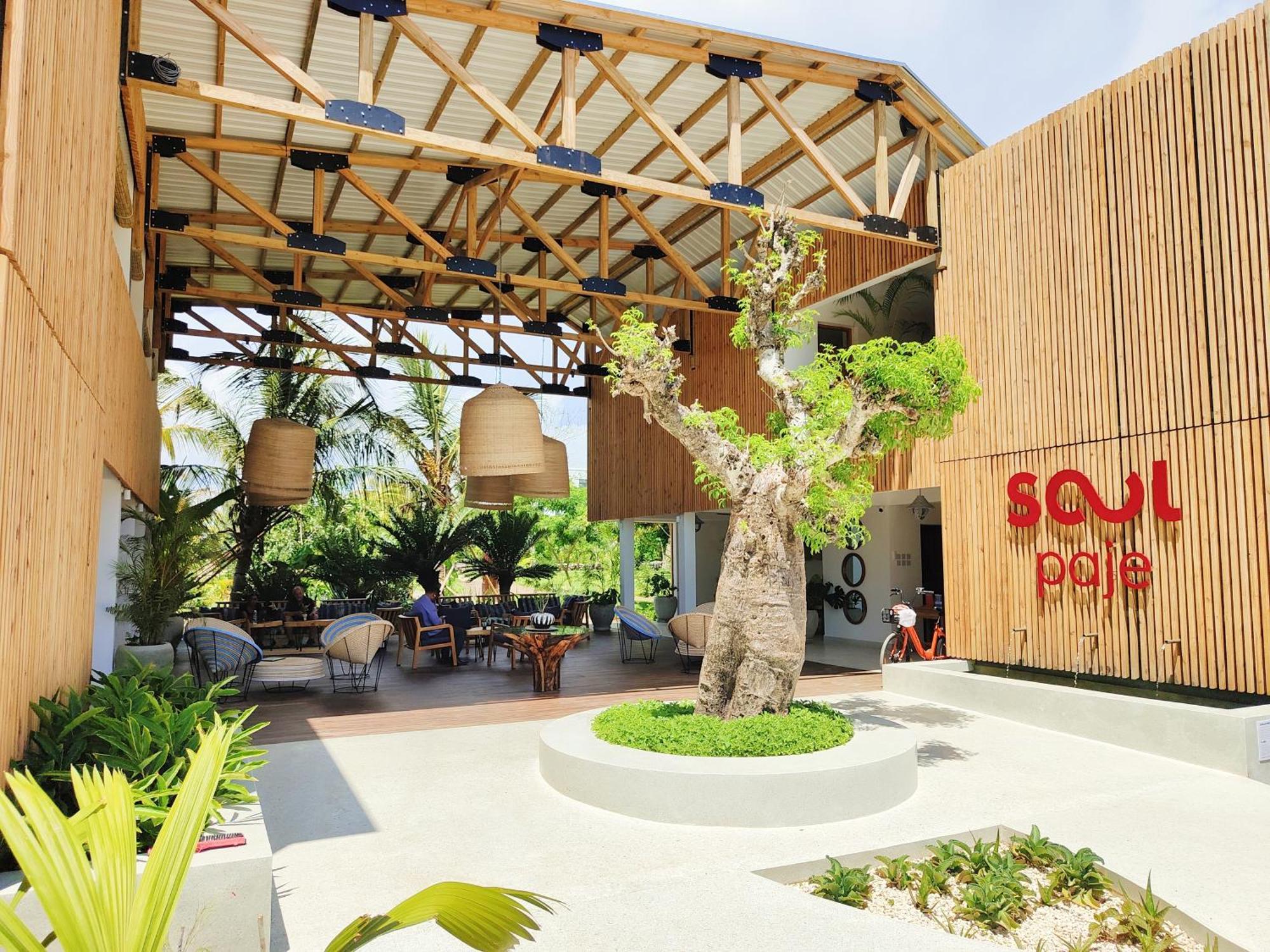 Tropical In The Soul 400m From - Managed By Ksn Apartament Paje
